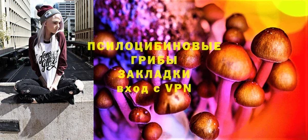 a pvp Алексин