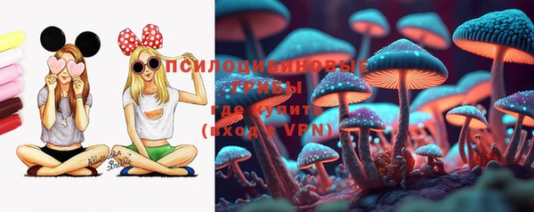 a pvp Алексин